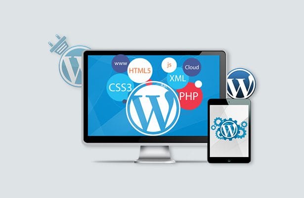 Custom WordPress Web Development