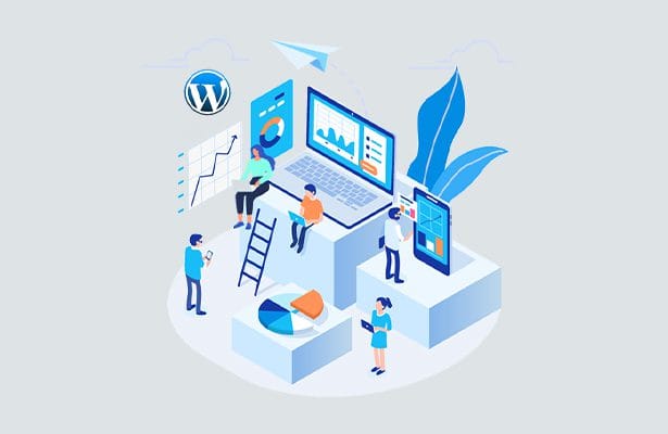 WordPress Third-Party Integration