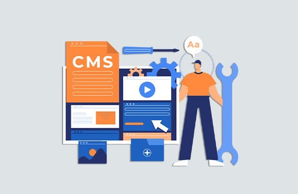 spirehubs-CMS Application Development